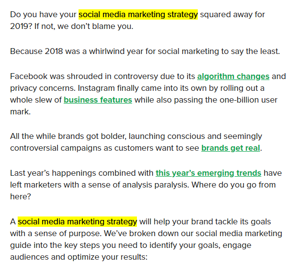 Seo Experts